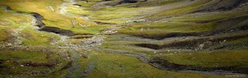 julienbm_apres_la_pluie