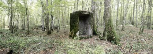 julienbm_l_assemblee