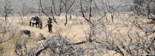 julienbm_la_traversee