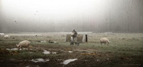 julienbm_le_sacrifice