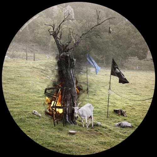 julienbm_les_transhumances